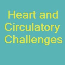 Prayer for Heart and Circulatory Challenges